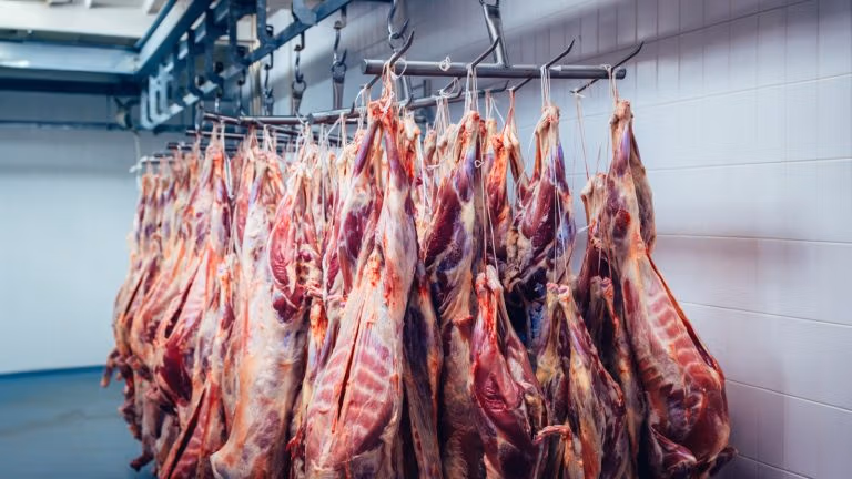 Murray Rothbard démystifie l'industrie de la viande