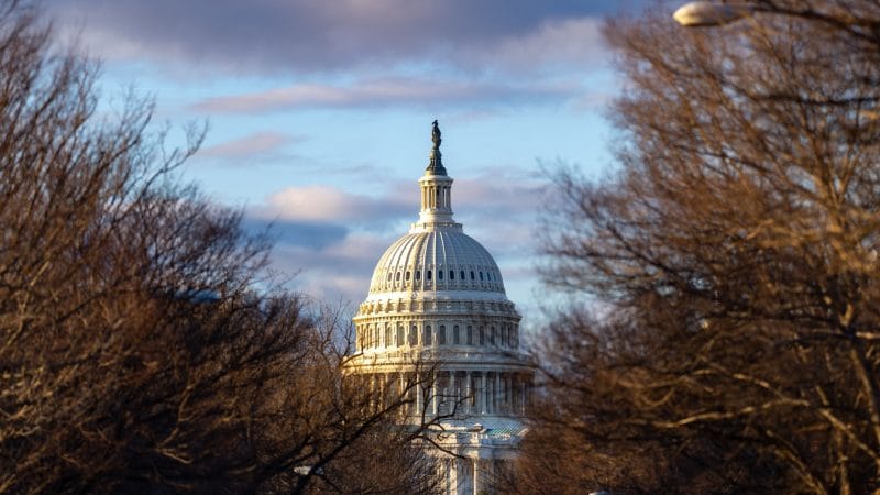 What the US Senate Should Say