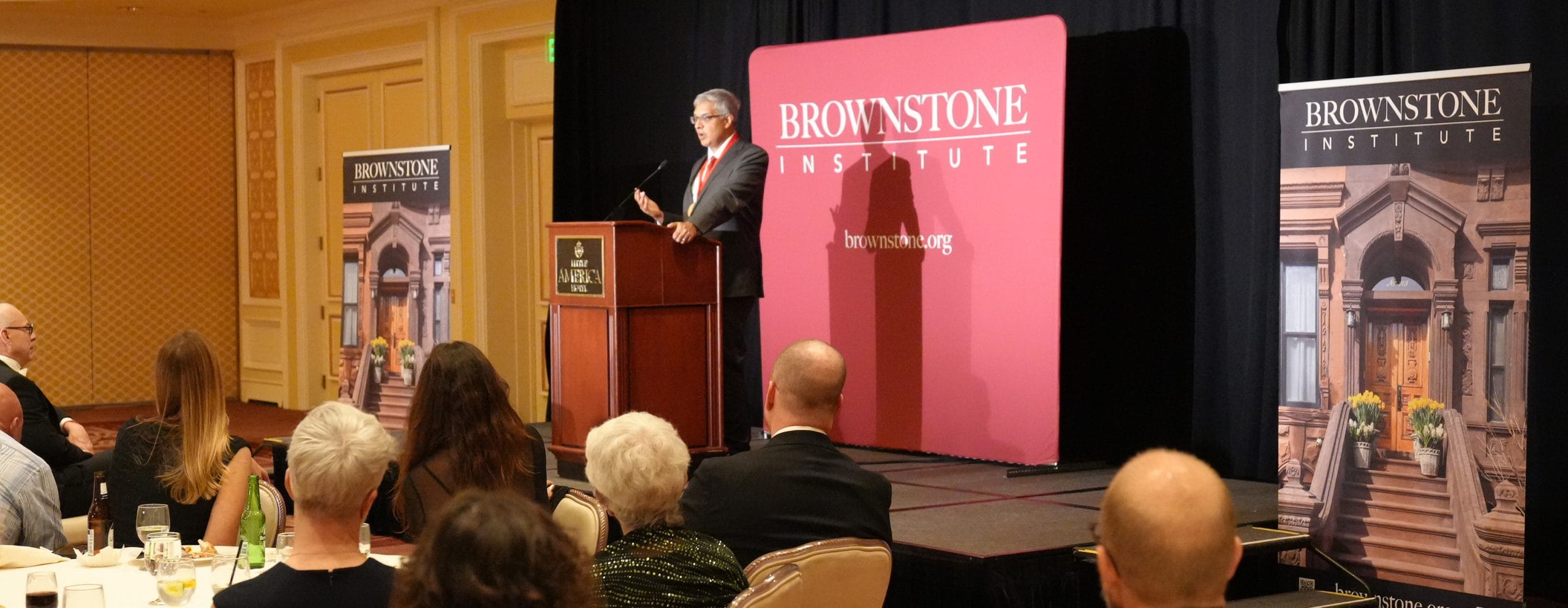 brownstone institute programs