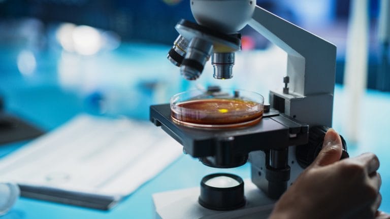 What Broke University Science?