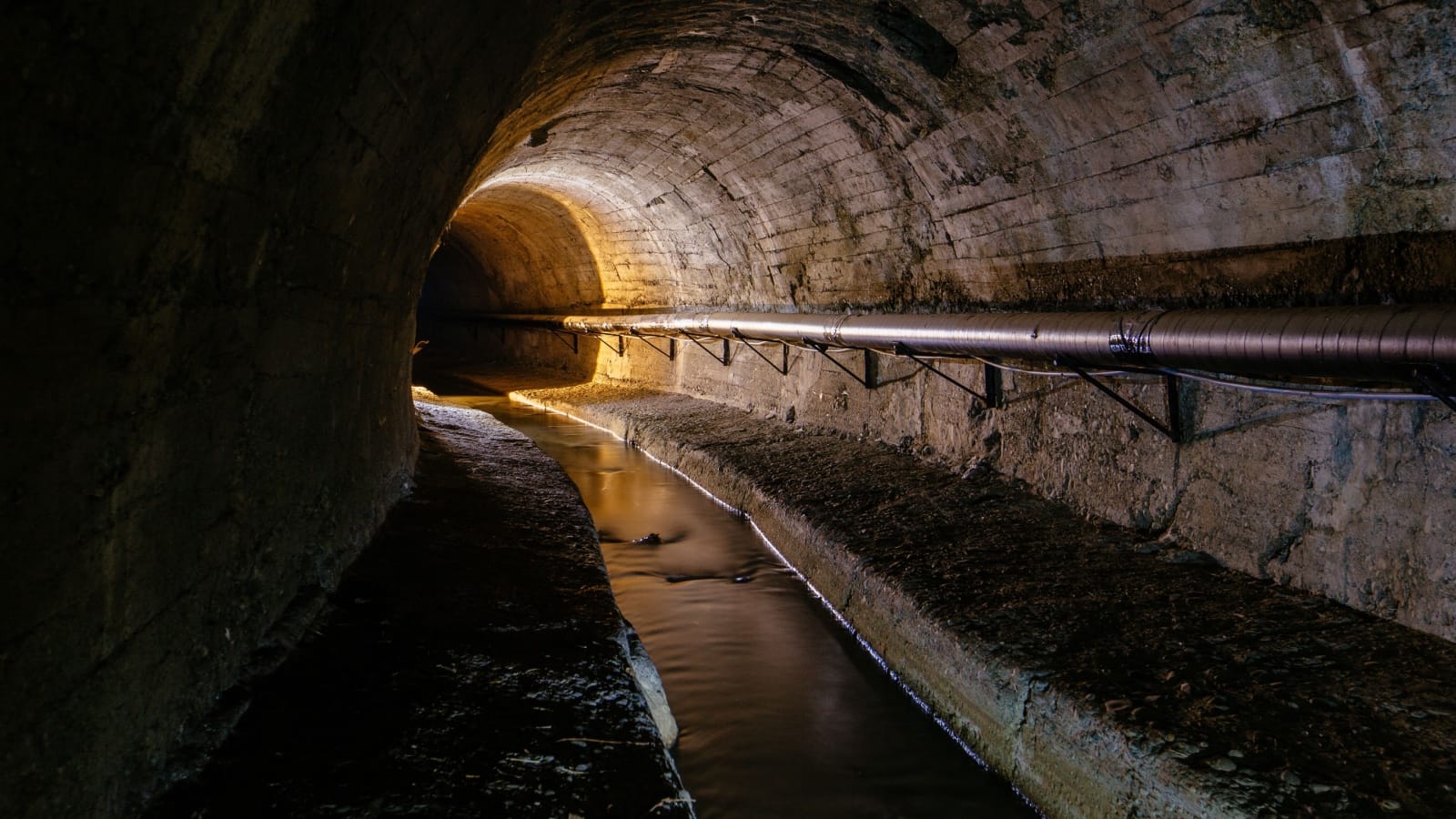 A Sewer, Not a Swamp A Sewer, Not a Swamp