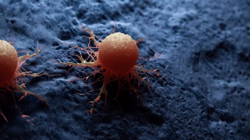 When Early Cancer Warnings Are Ignored