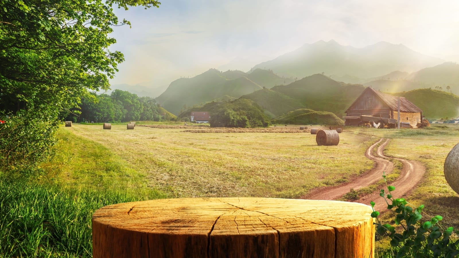 We’re Losing the Human Touch in Food