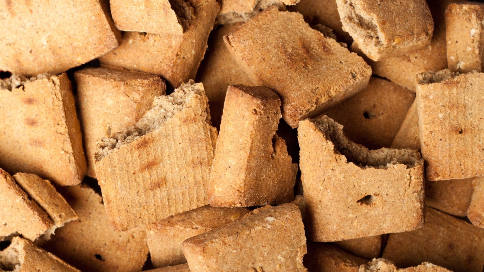 They Are Experimenting on Your Dog They Are Experimenting on Your Dog