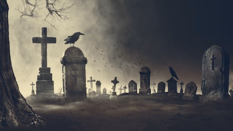 The Reason for Death Rituals