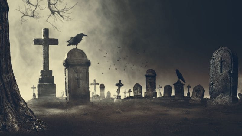 The Reason for Death Rituals