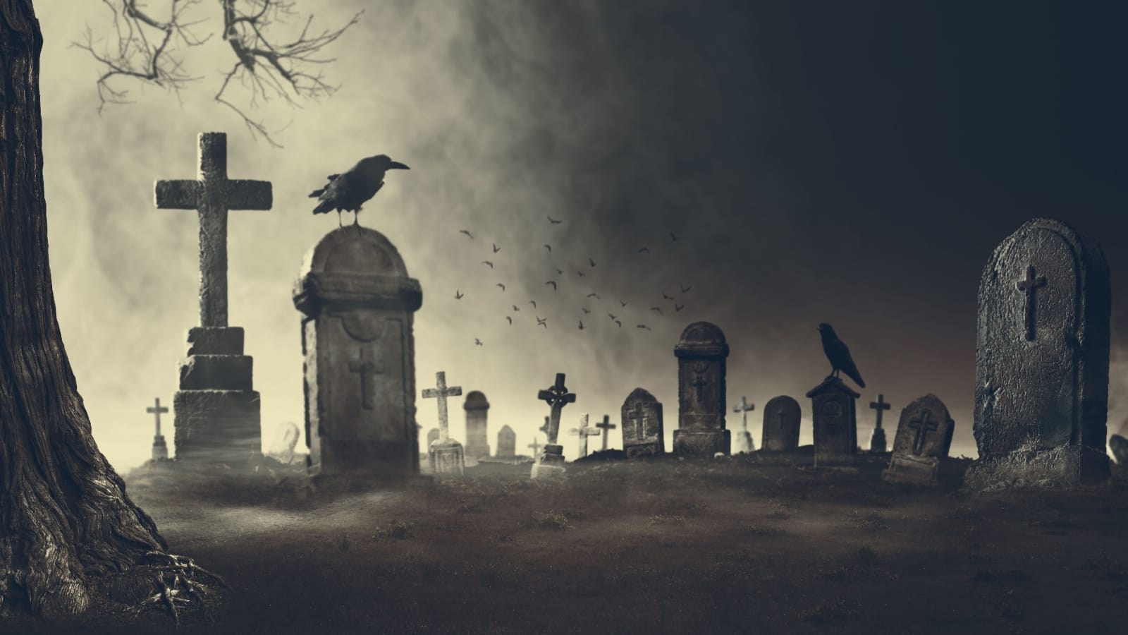 The Reason for Death Rituals thumbnail