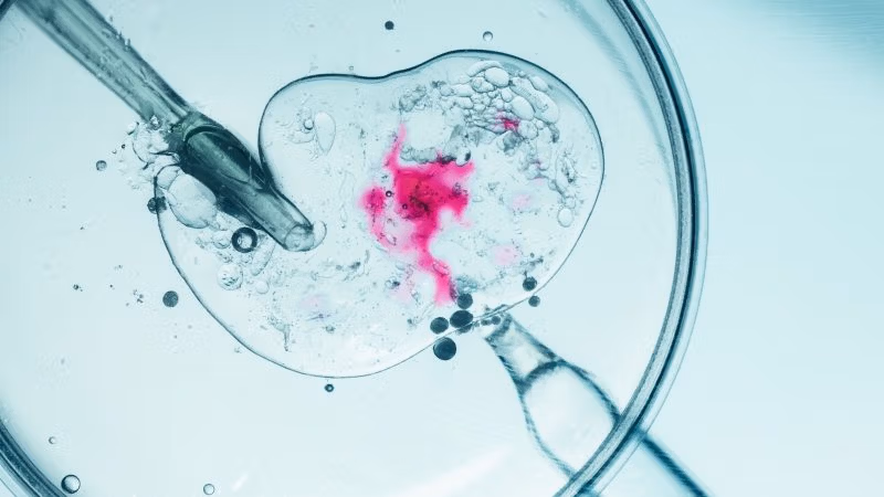 FDAがやらなかったことを小さな非営利団体が実行した