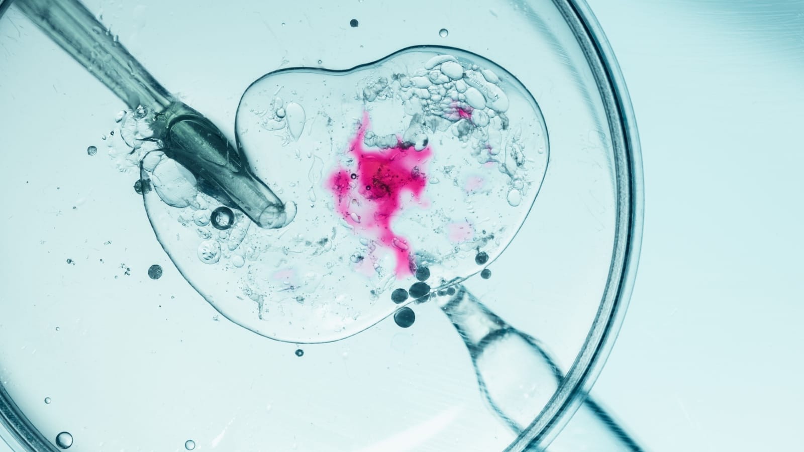 A Small Nonprofit Did What the FDA Would Not thumbnail