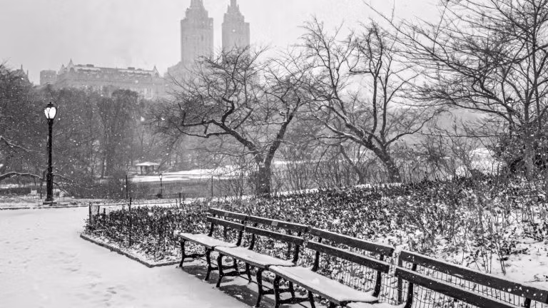 A "Blizzard" Gives Mayor Zohran Mamdani Pretext for a "Climate Lockdown"
