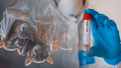 Nipah Virüsü ve Yeni Halk Sağlığı Emri