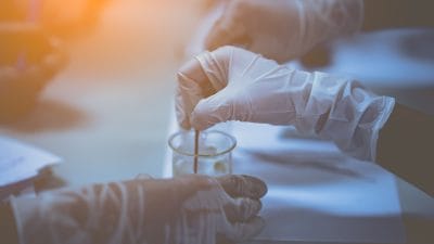 Did Ralph Baric at UNC Create SARS-CoV-2?