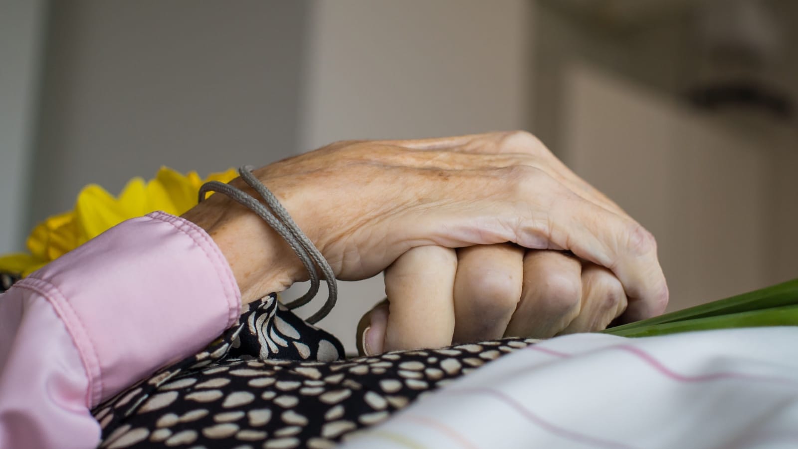 The Last Lesson My Mother Taught Me