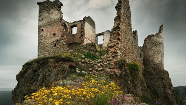 የዓለም ጤና ድርጅት ድህረ-ድህረ-ዓለም አቀፍ የጤና አርክቴክቸር እንዴት መገንባት እንደሚቻል