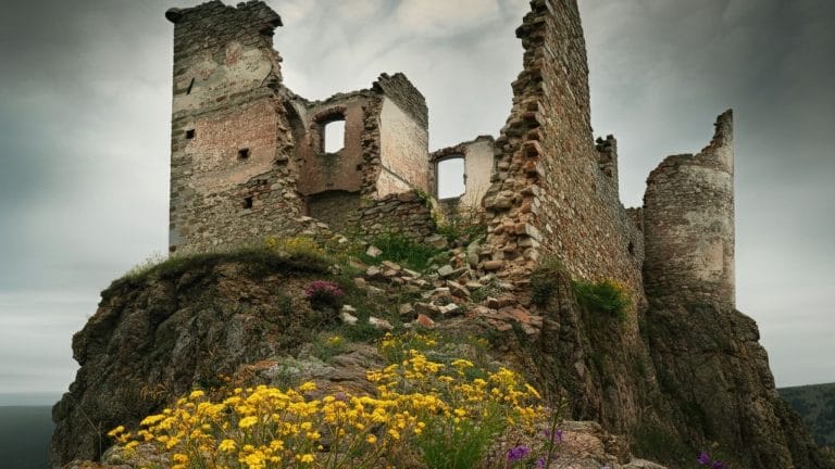 How to Build a Post-WHO Global Health Architecture