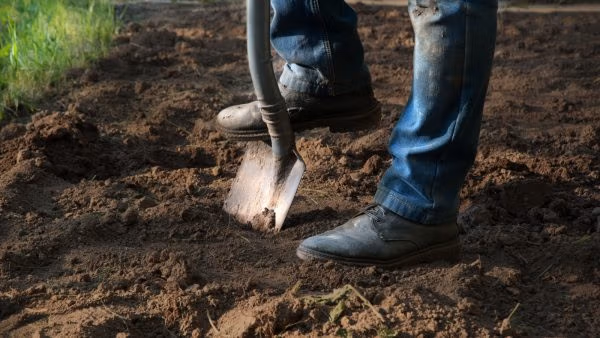 The Sludging of Rural America