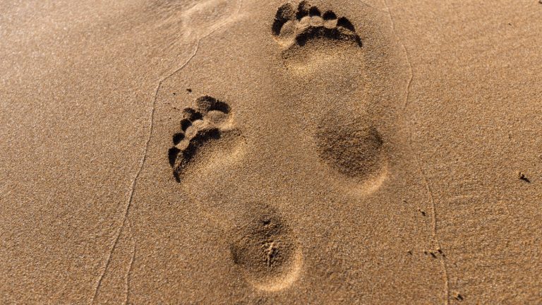 The Behemoth of Global Corruption Is an Extension of Ourselves