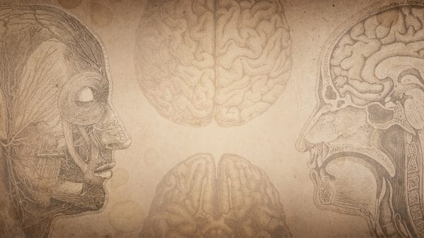 The Lost Art of Medicine: What Maimonides Knew That We Forgot