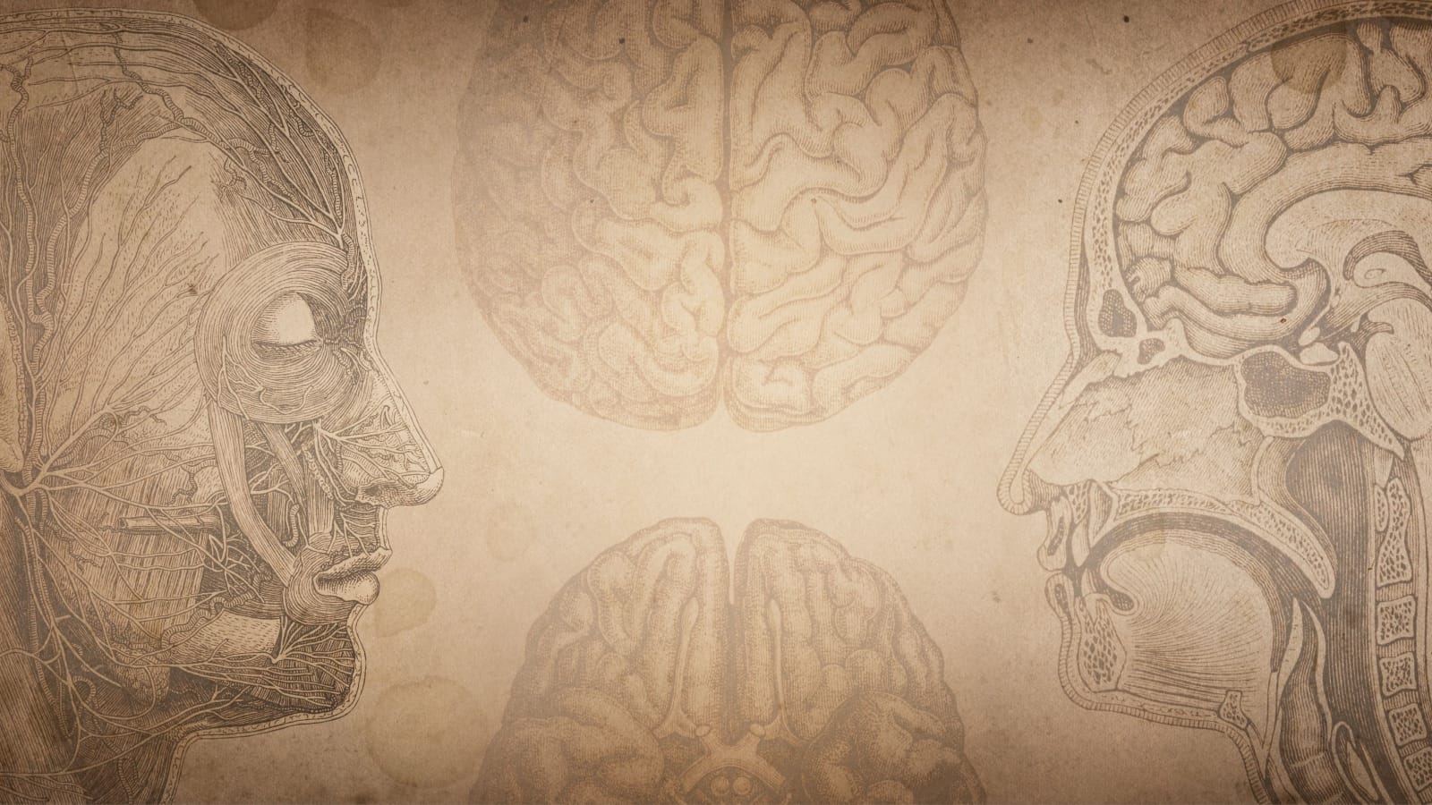 The Lost Art of Medicine: What Maimonides Knew That We Forgot thumbnail