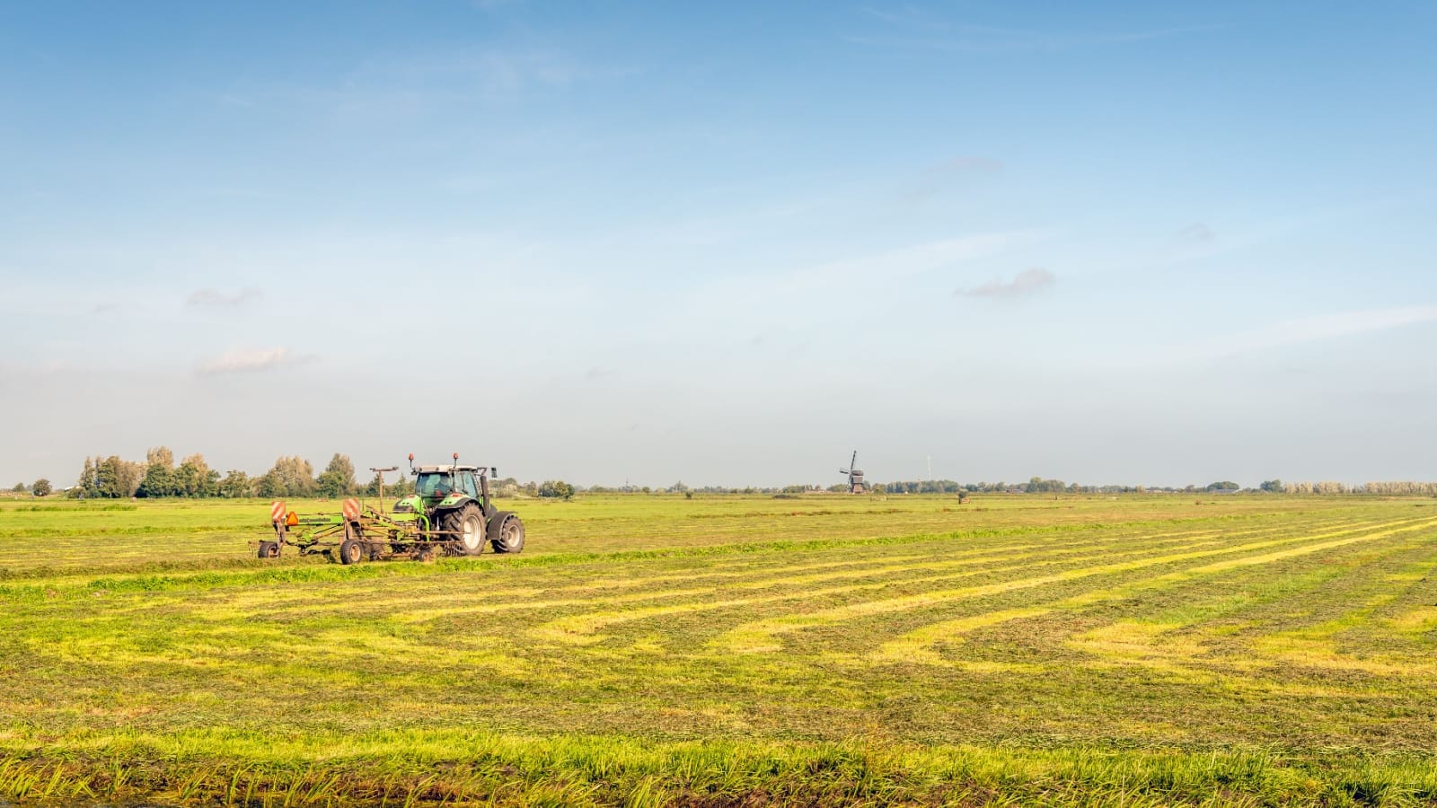 Should an Industry-Friendly Rider in the Farm Bill Override Over 1,000 State Laws? thumbnail
