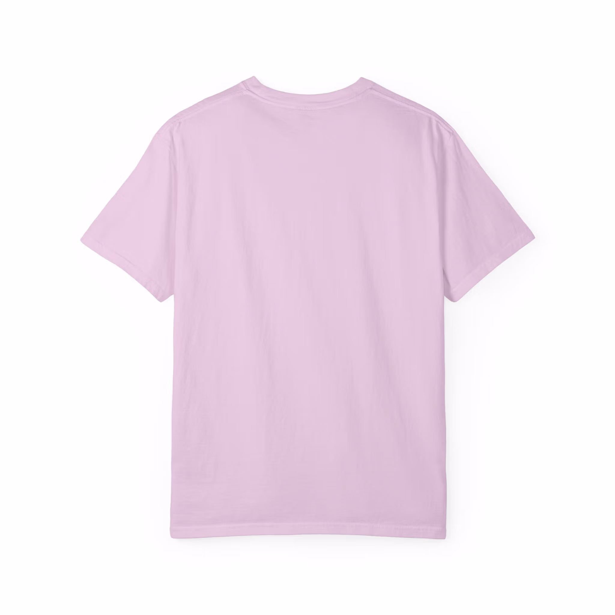 ブラウンストーン研究所 Tシャツ（ライトカラー） - 画像 32