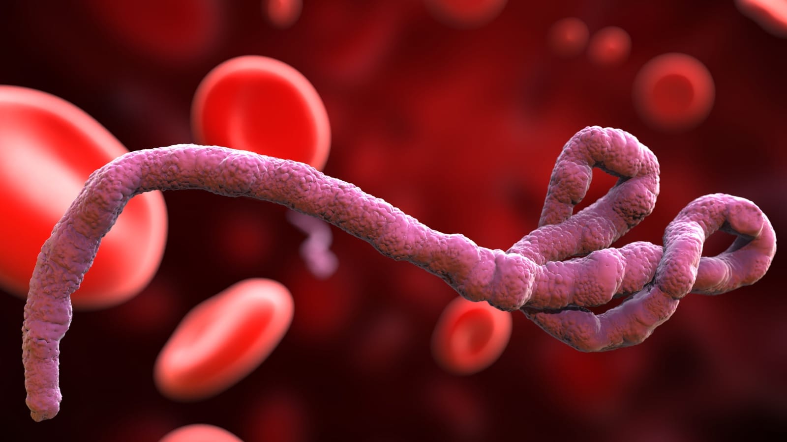Moderna Is Building a Modified mRNA “Vaccine” for Ebola Bundibugyo