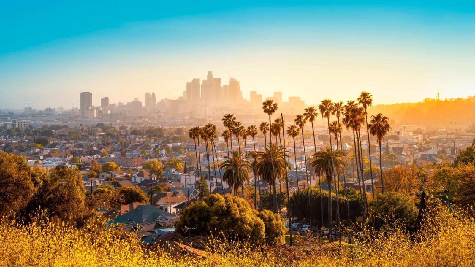 City of Angels thumbnail