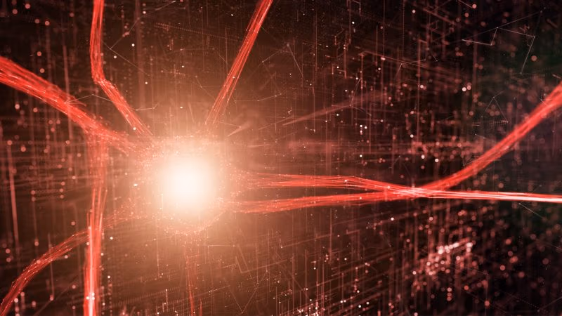 Reflections on Brain Death, Hope, and the Limits of Certainty